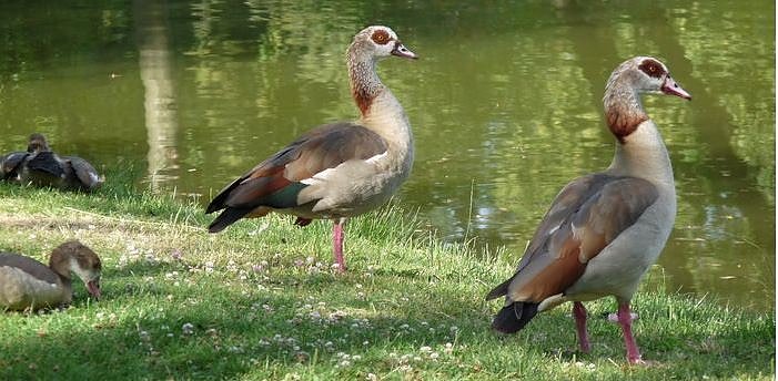 Bild: Neub&uuml;rger in unserer Region �