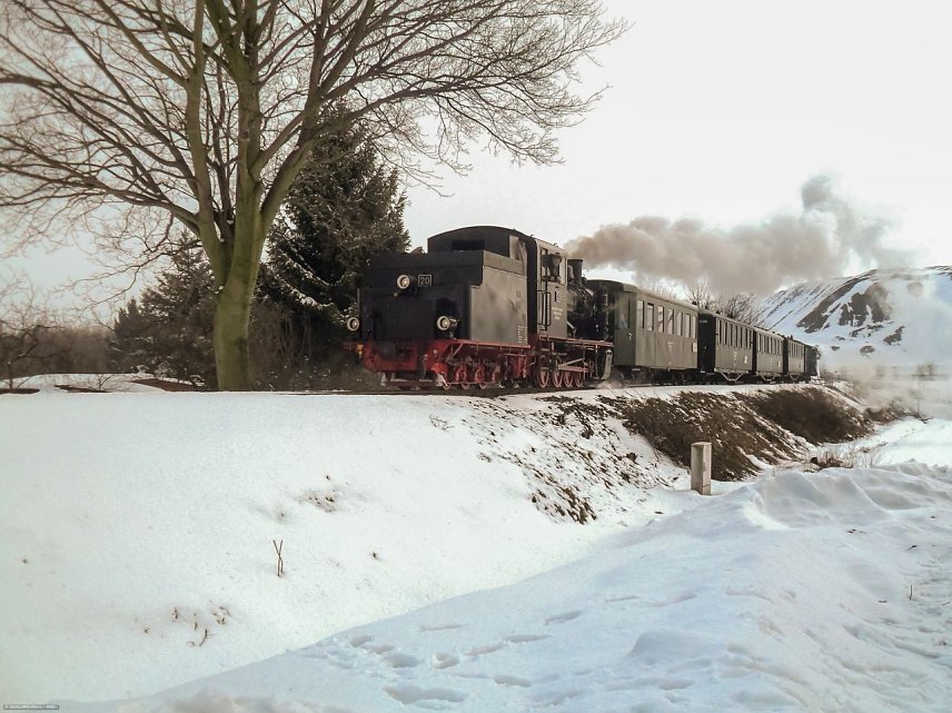 Bild: Dampfend durch den Schnee im Mansfelder Land