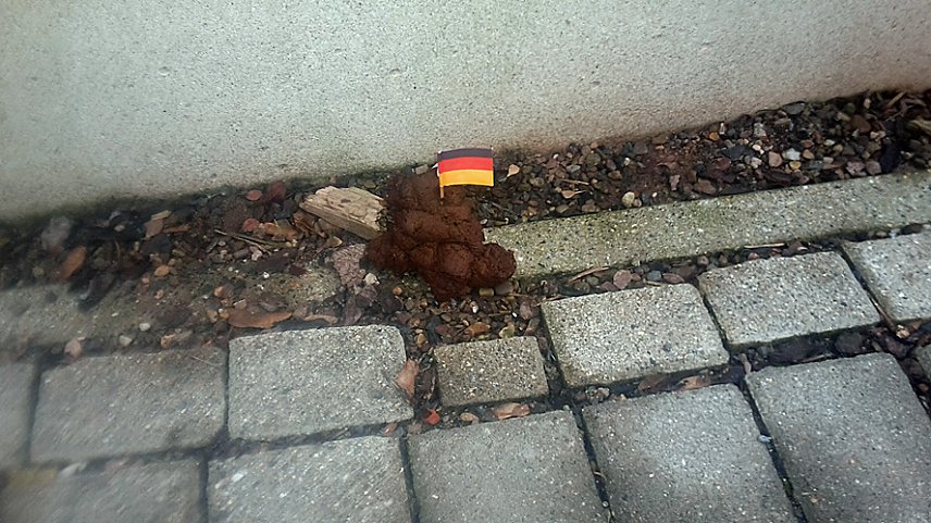 Bild: Patriotismus, Protest oder Geschmacklosigkeit?