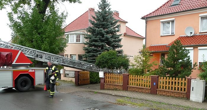 Bild: Blitz eingeschlagen