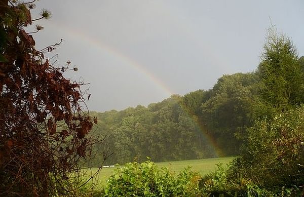 Bild: Regenbogen