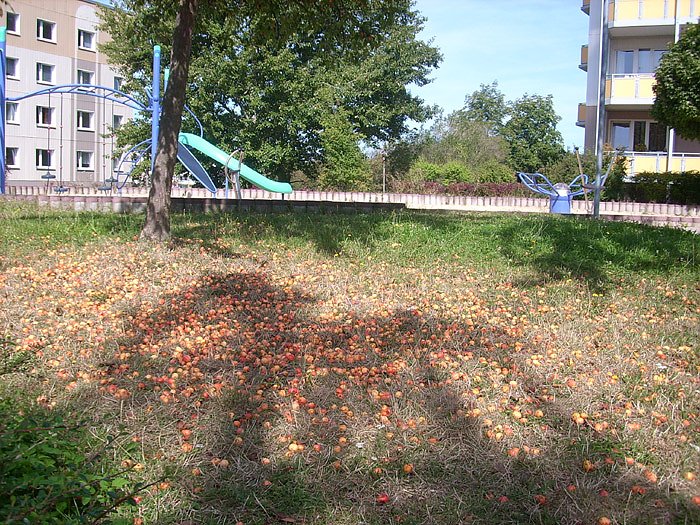 Bild: Spielplatz &Ouml;stertal