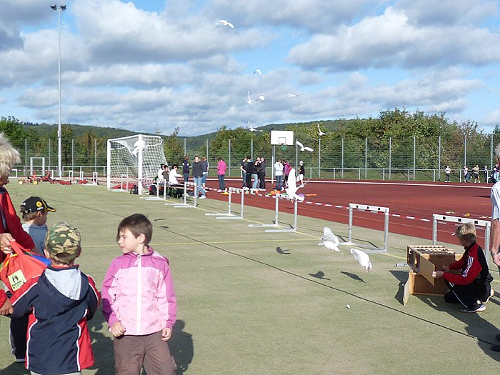 Bild: 4. St&auml;dte-Marathon in Sondershausen