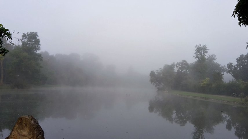 Bild: Romantische Stimmung im Park