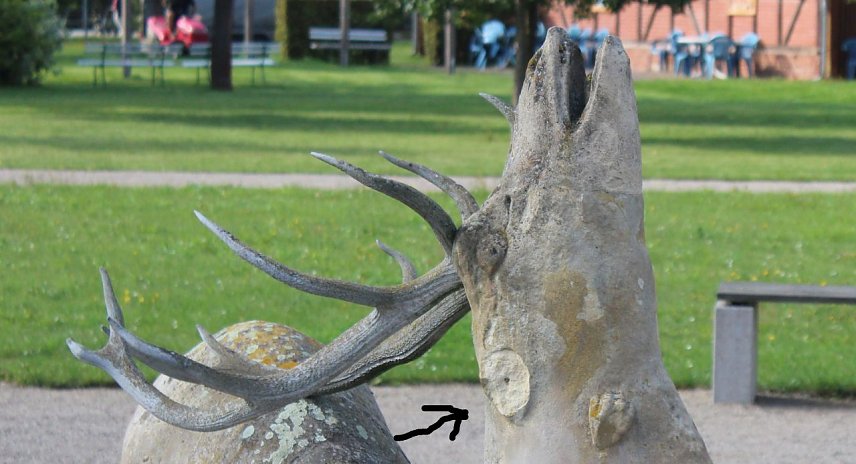 Bild: Vandalismus im Schlosspark Ebeleben
