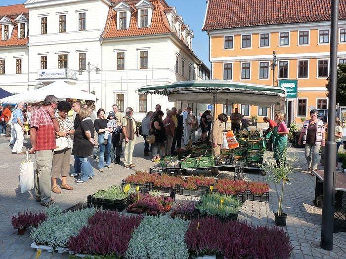 Bild: Planzenmarkt in Sondershausen