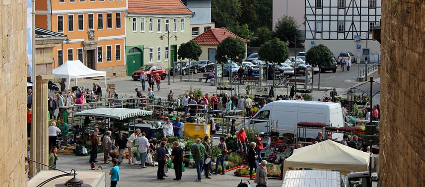 Bild: Pflanzenmarkt in Sondershausen