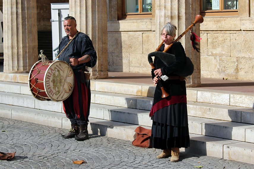 Bild: Pflanzenmarkt in Sondershausen