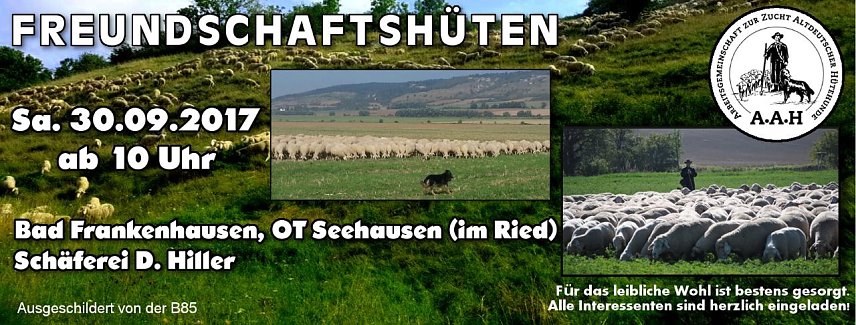 Bild: 14. Freundschaftsh&uuml;ten in Seehausen