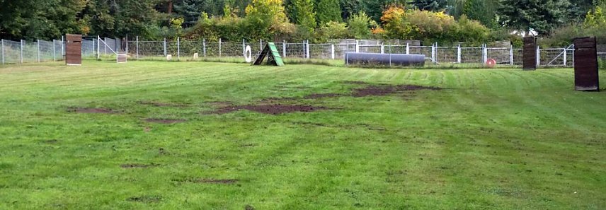 Bild: Arbeitseinsatz auf dem Hundeplatz an der Trift