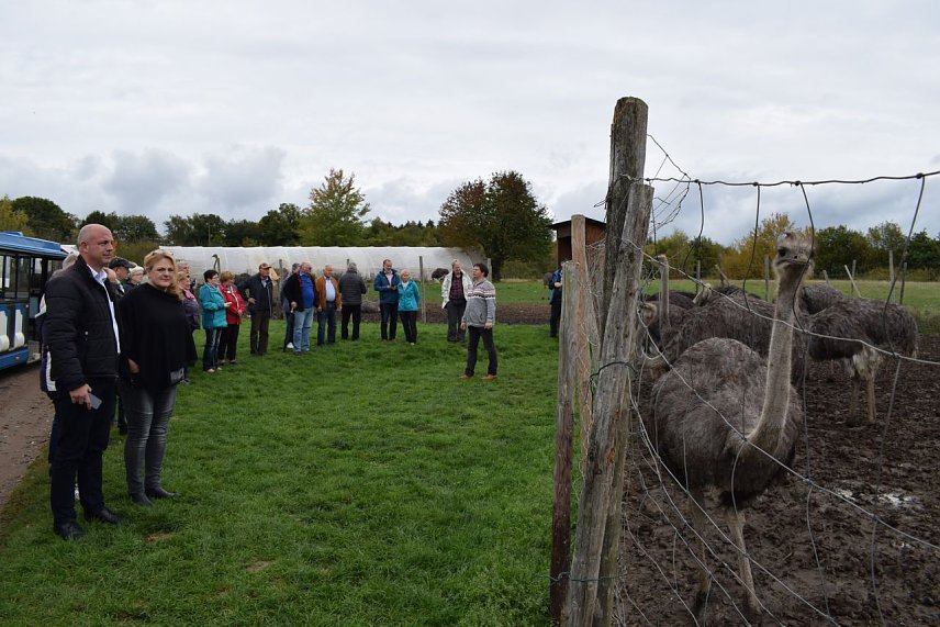 Bild: Auf der Strau&szlig;enfarm