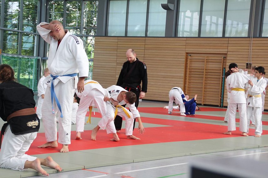 Bild: Trainer