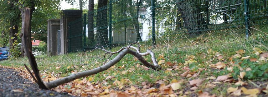 Bild: &Auml;rgernis am Bleicher&ouml;der Weidenhof