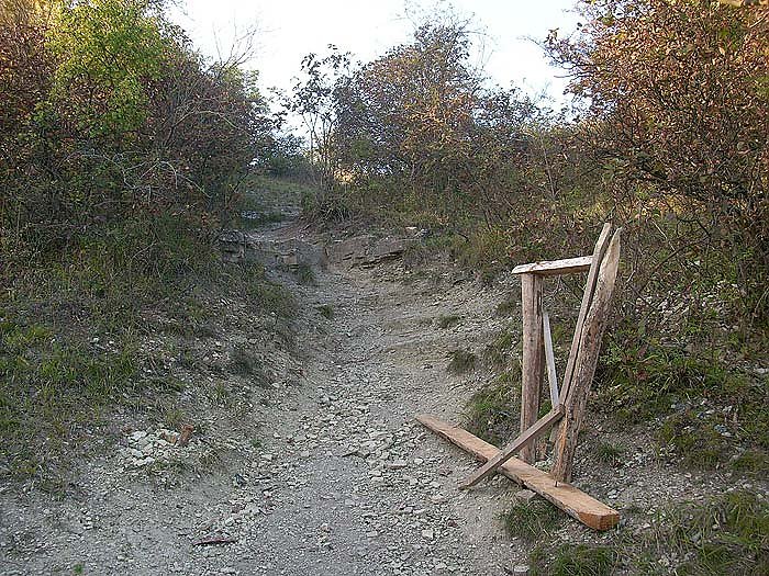 Bild: Besch&auml;digungen an Wanderwegen