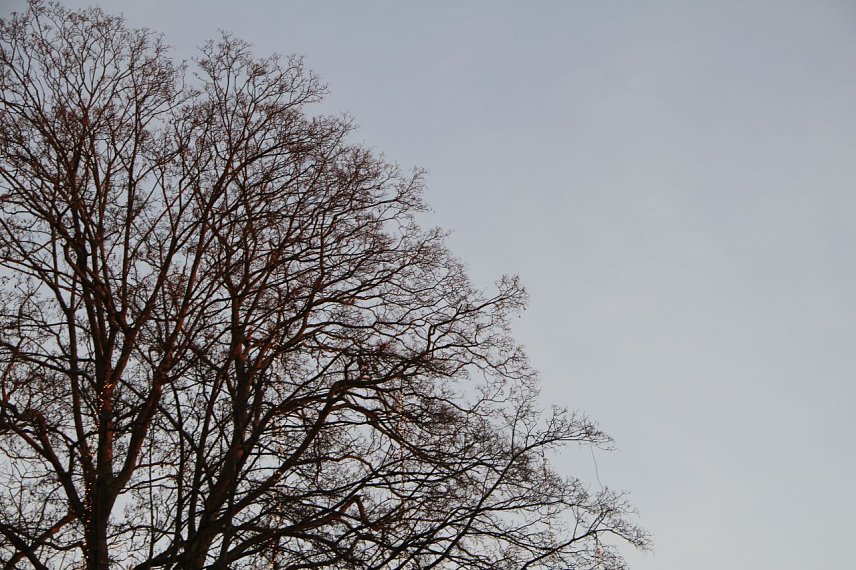 Bild: Wetterbild