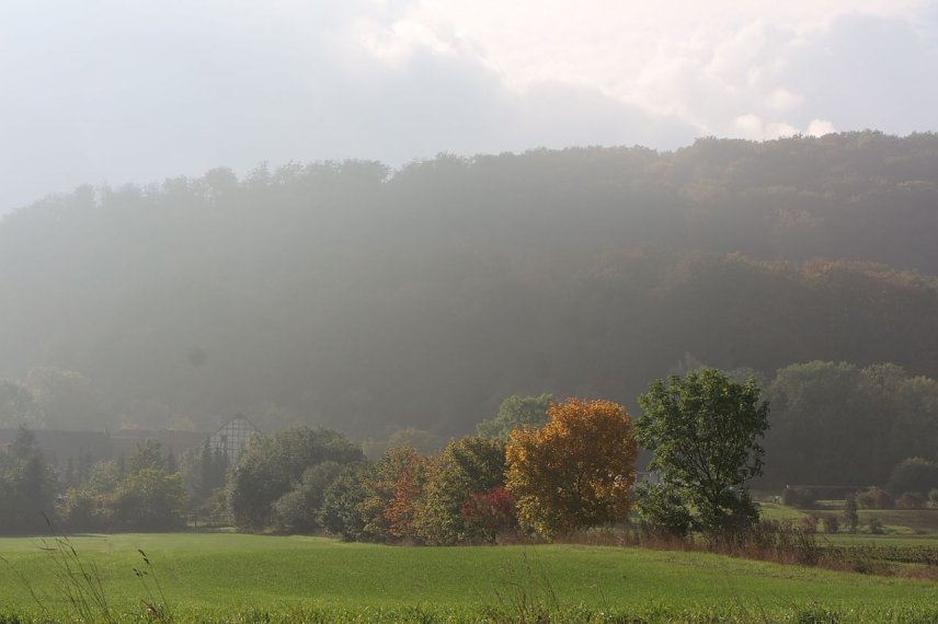 Bild: Wetterbild