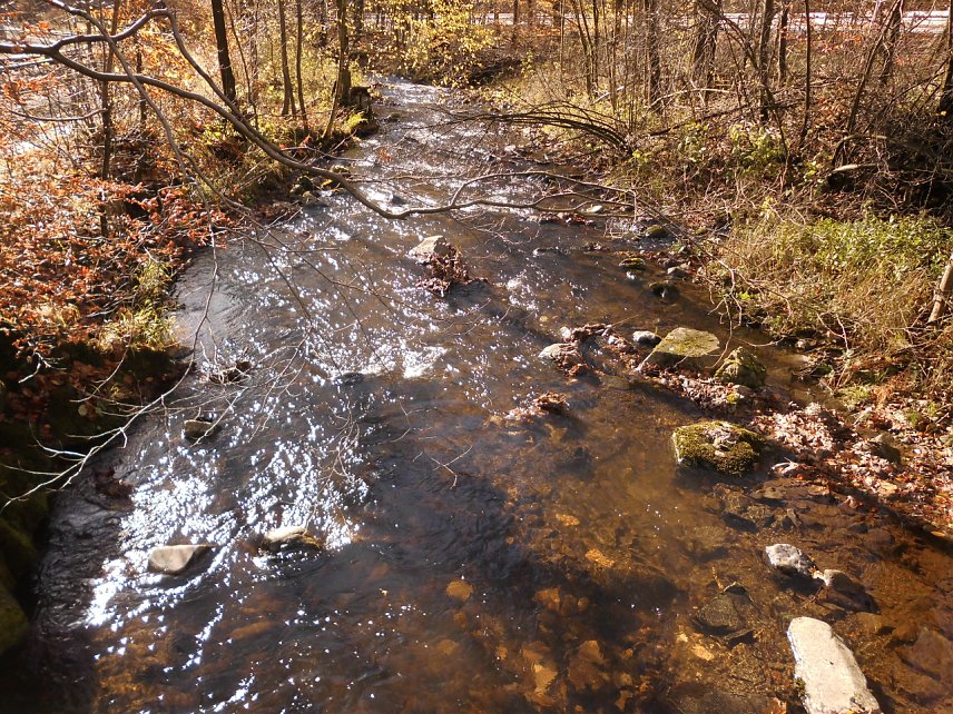 Bild: Der kleine Fluss Bere beim Bahnhof Eisfelder Talm&uuml;hle am 30.10.2017