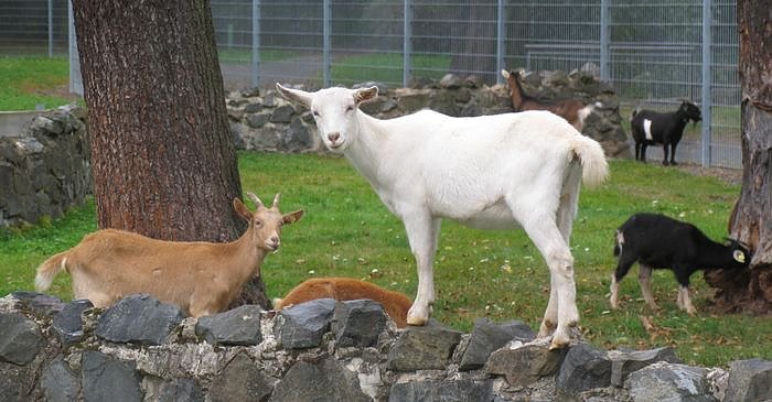 Bild: Was guckst Du!