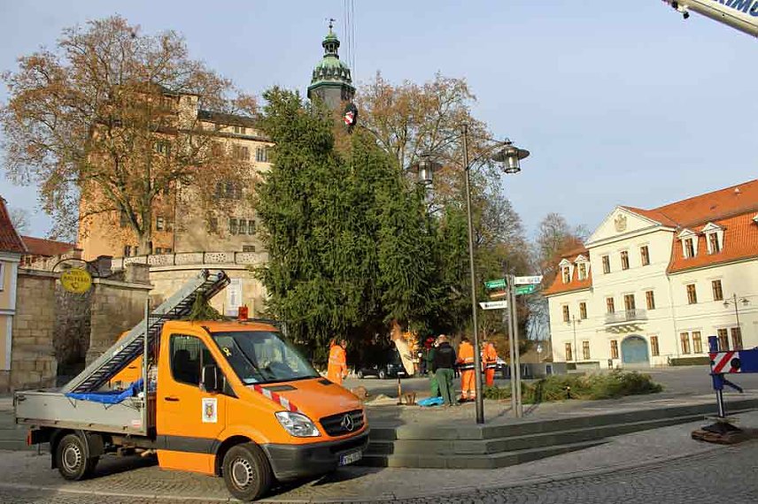 Bild: Weihnachtsbaum wird aufgestellt