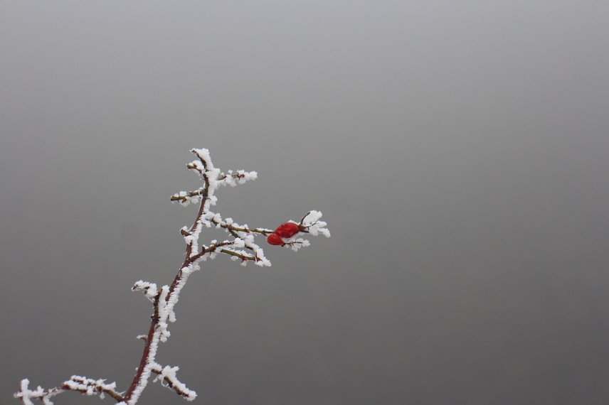 Bild: Wetterbild