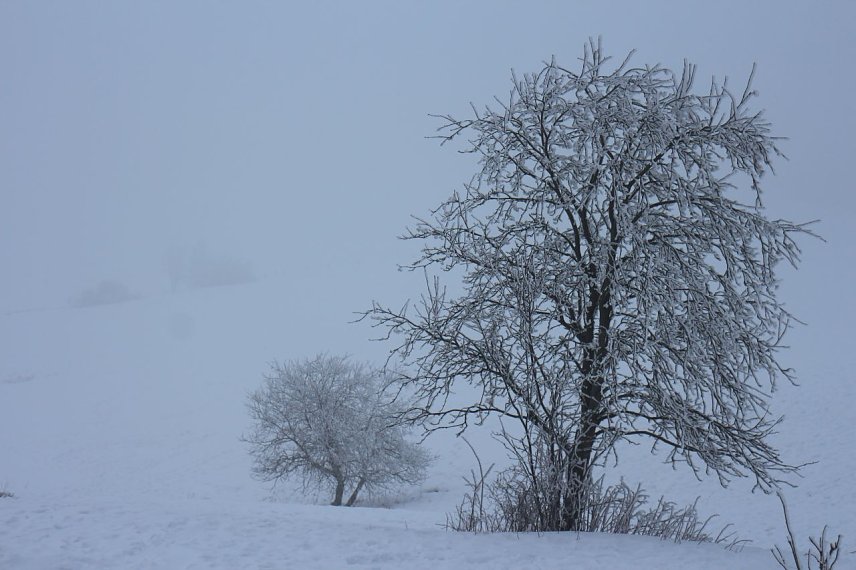 Bild: Wetterbild