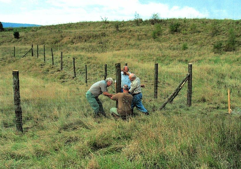 Bild: Schon seit einigen Jahrzehnten pflanzt Hartmuth Bauer Bl&uuml;h- und Beerenstr&auml;ucher in der Feldflur. Im Bild (links) z&auml;unt er mit flei&szlig;igen Helfern der Jagdgenossenschaft ein Feld ein, auf dem auch Schutzhecken entstanden, auch f&uuml;r Rebh&uuml;hner