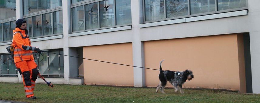 Bild: Rettungshundestaffel im Einsatz am S&uuml;dharz-Klinikum