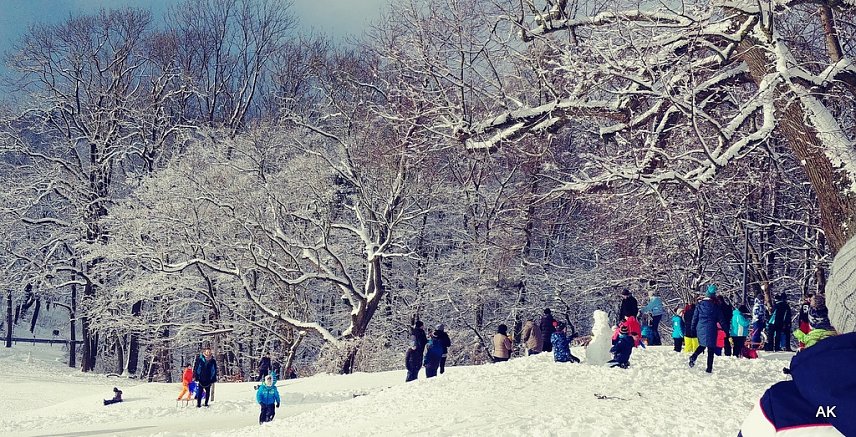 Bild: Winter an der Burg Scharfenstein