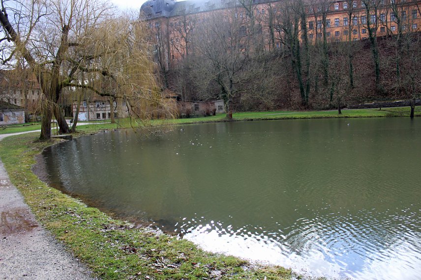 Bild: Kleiner Parksee im Schlosspark &uuml;bergelaufen