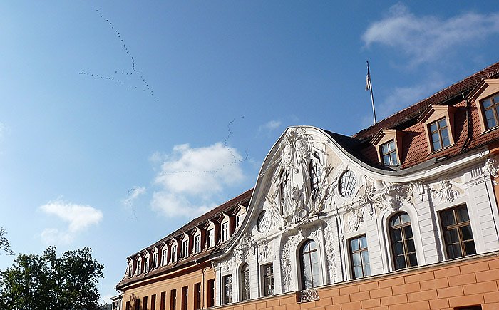 Bild: Kranischflug