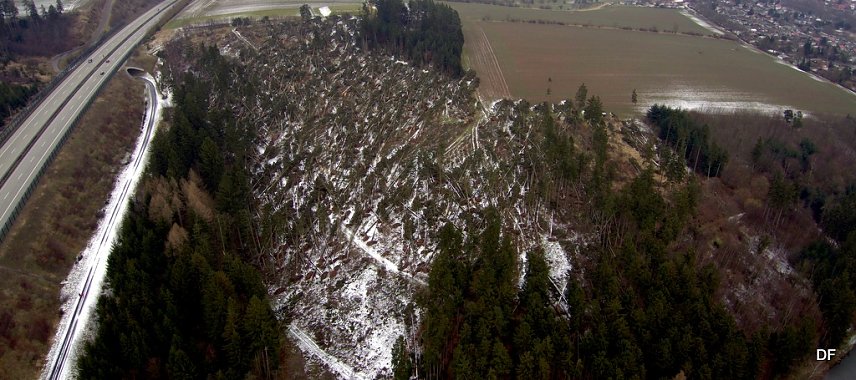 Bild: Sturmsch&auml;den im K&ouml;hlersgrund