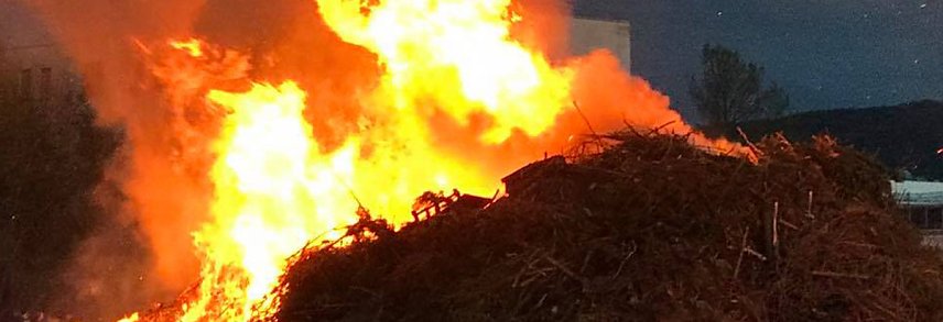Bild: Baum- und Strauchschnitt f&uuml;rs Osterfeuer 2018
