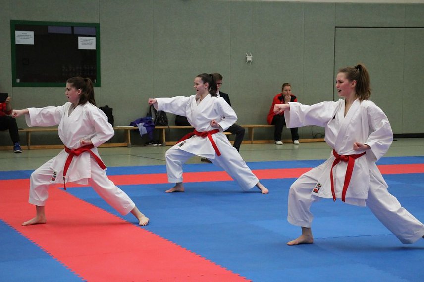 Bild: Titel und Medaillen beim Karate