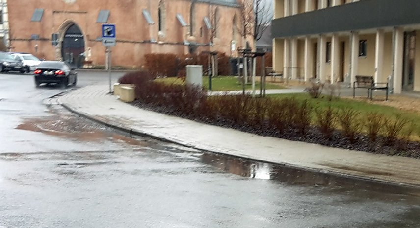 Bild: Osterhase holte sich kalte F&uuml;&szlig;e