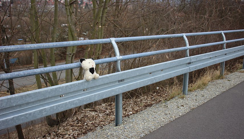 Bild: Ich bin so allein!