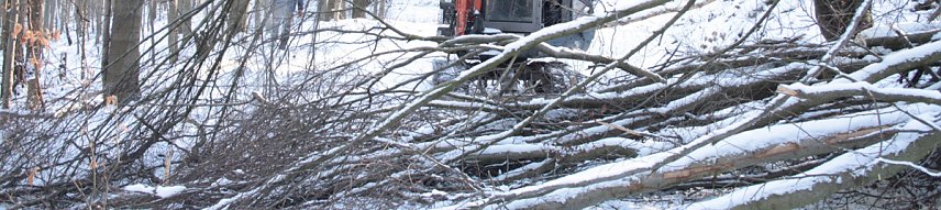 Bild: Aufr&auml;umarbeiten auf den Wanderwegen in der Hohen Schrecke gehen voran