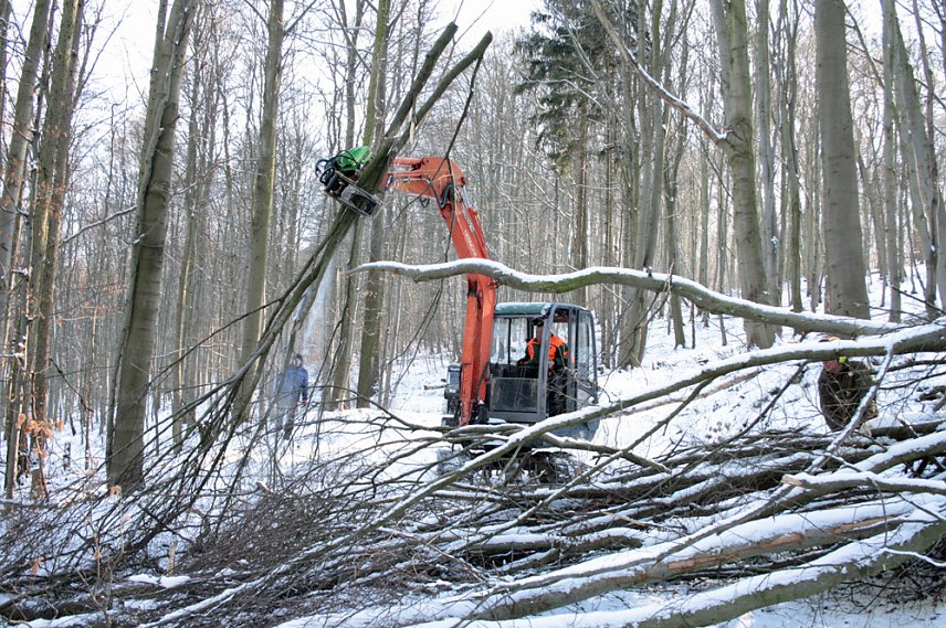 Bild: Aufr&auml;umarbeiten auf den Wanderwegen in der Hohen Schrecke gehen voran