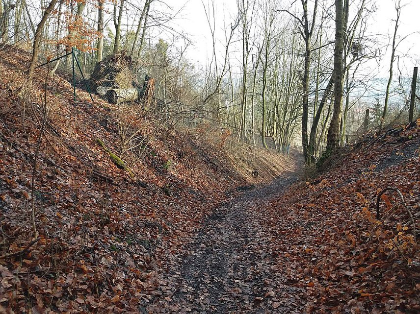 Bild: Osterspaziergang zum Spatenbergturm