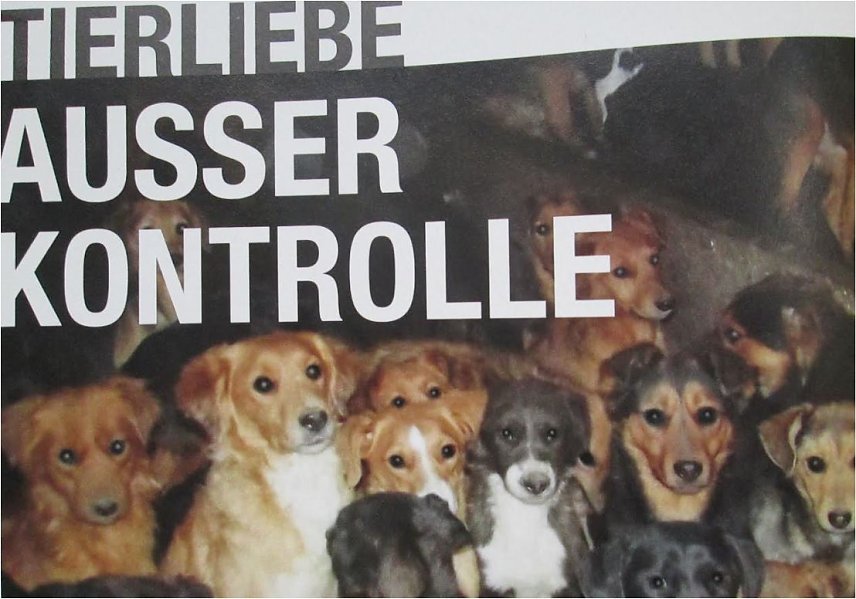 Bild: Falsch verstandene Tierliebe