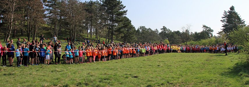 Bild: Tolles Kreisfinale beim Crosslauf