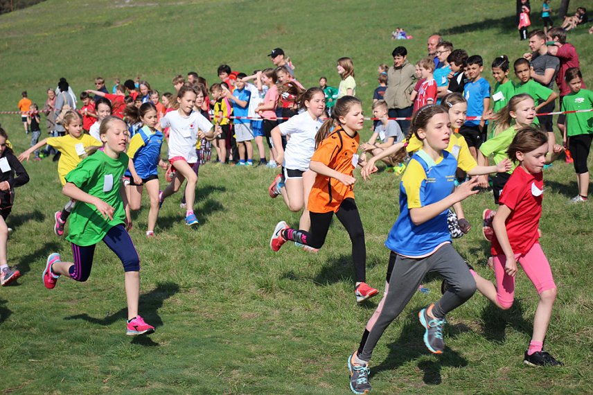 Bild: Tolles Kreisfinale beim Crosslauf