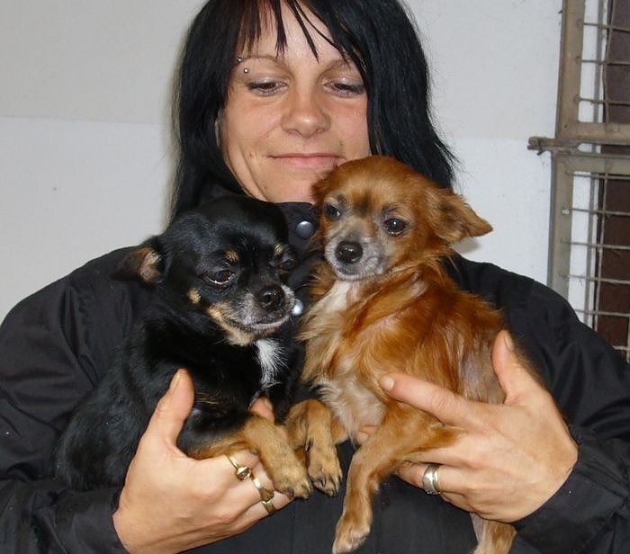 Bild: Tiere der Woche