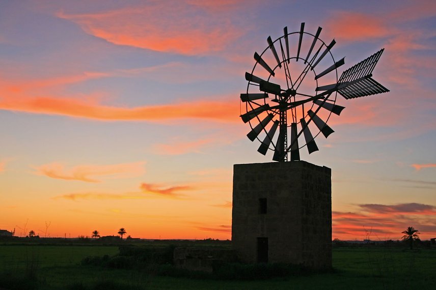 Bild: Windm&uuml;hle auf Mallorca