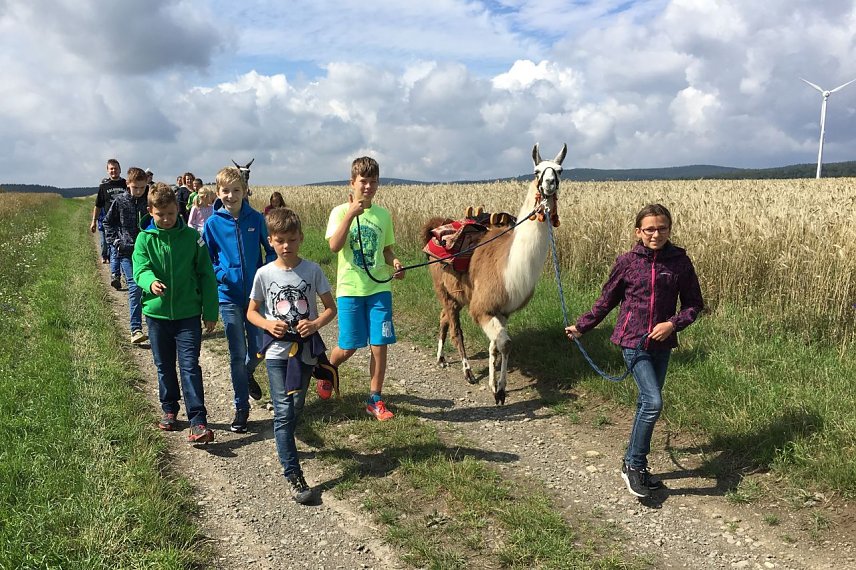 Bild: Ferienzeit 2017 mit dem Kreisjugendring