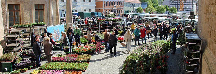 Bild: Ansturm auf Sondersh&auml;user Blumen-, Pflanzen- und Staudenmarkt