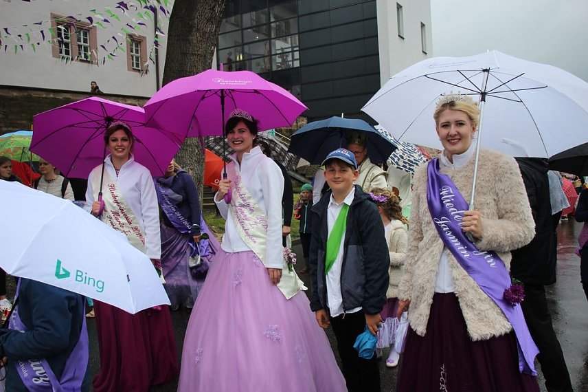 Bild: Fliederparade mit Schirm