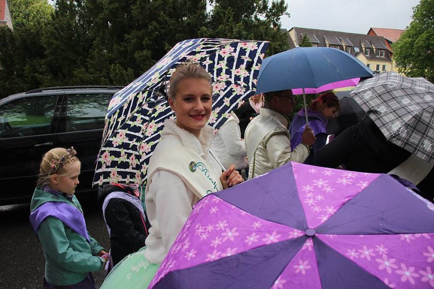 Bild: Fliederparade mit Schirm