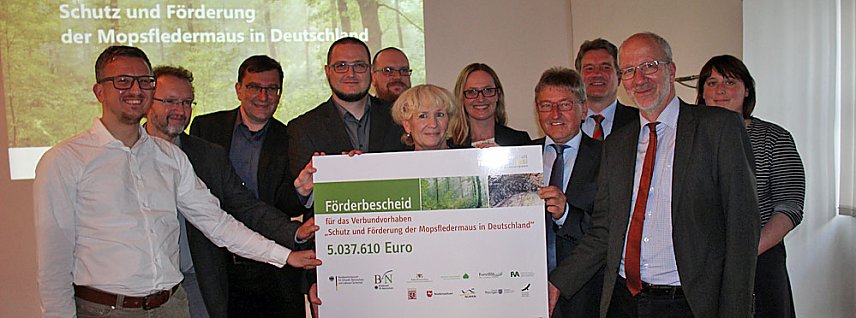 Bild: Mittel zum Schutz der Mopsfledermaus