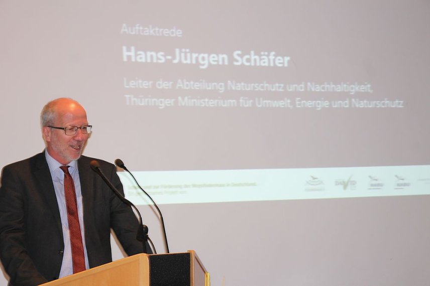 Bild: Mittel zum Schutz der Mopsfledermaus