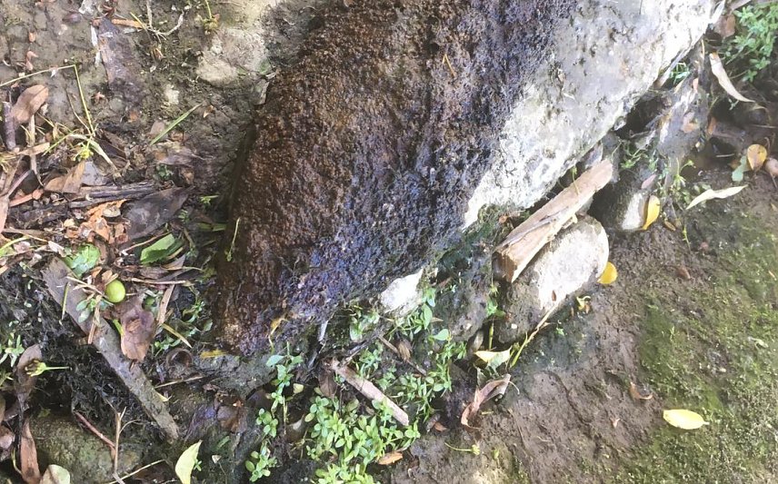 Bild: Granate bei Angelausflug gefunden
